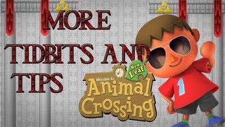 Tidbits & Tips: Animal Crossing New Leaf: Villager House Placement, Tanning, and Fast PWP
