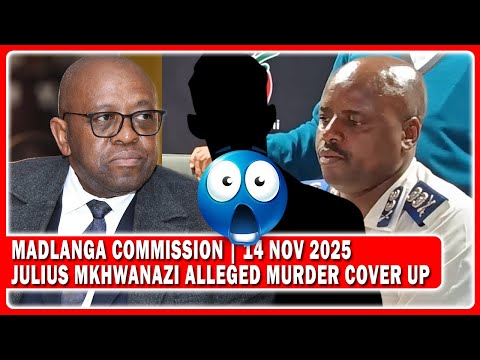YOOOH Witness D Evidence Of Julius Mkhwanazi Alleged Murder Cover Up