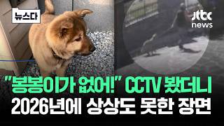 봉봉이가 없어! CCTV 봤더니..2026년에 상상도 못한 장면 #뉴스다 /JTBC News