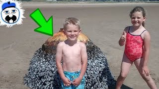 15 Unexplainable Things That Washed Ashore
