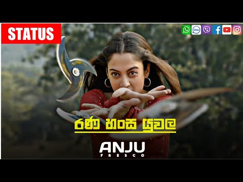 Download Sinhala Song Stuts Video Download 3gp Mp4 Codedwap