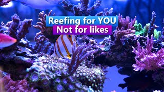 Reefing for You! - Not for Likes