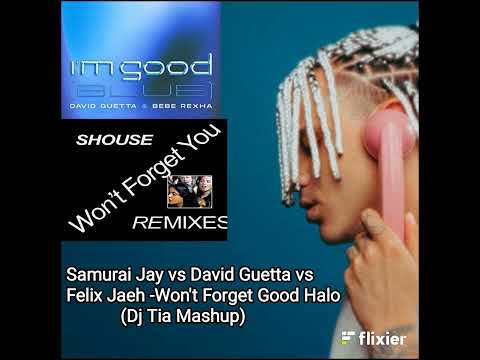 Samurai Jay vs David Guetta vs Felix Jaehn - Won't Forget Good Halo (Dj Tia Mashup)