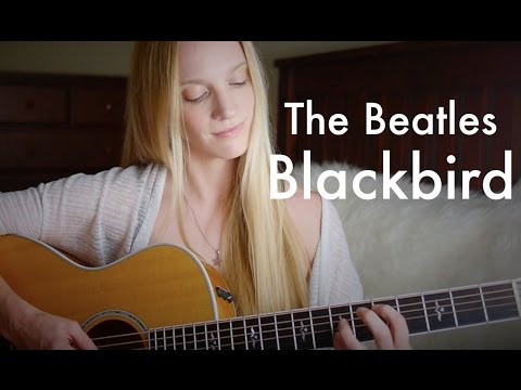 Blackbird - The Beatles - Acoustic Guitar Cover