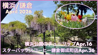 横浜/鎌倉April 2026