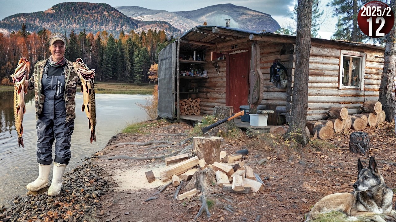 Уехали с женой жить в тайгу Приполярного Урала. Заготовка рыбы. Удачная рыба?