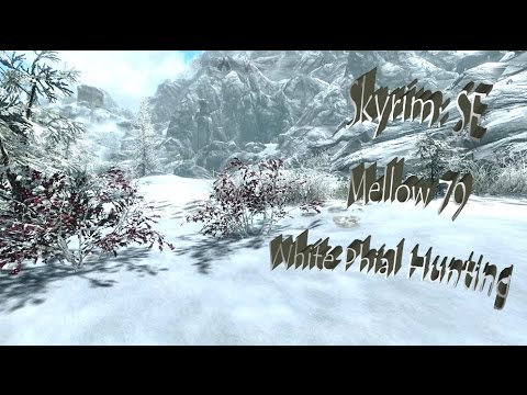 Checkers' Mellow Skyrim Let's Play Part 79 - White Phial Hunting
