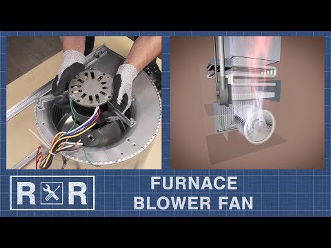 Furnace - Blower Fan