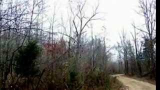 preview picture of video '40 acres Dent County Road 3350, Salem, MO 65560 | Tammie Johnson | 636-262-6085 | Salem Real Estate'