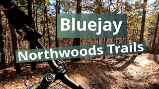 Bluejay Trail, Northwoods Trail System, Hot Springs, Arkansas.