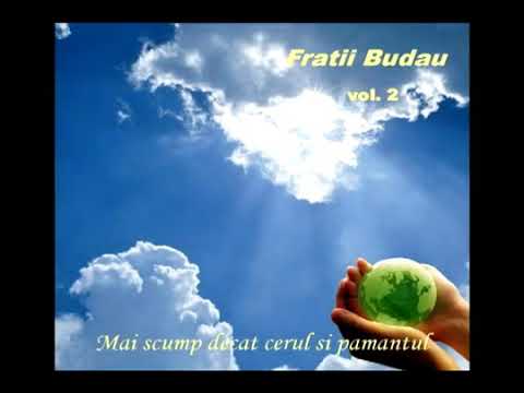 Fara lupta nu se poate  - Fratii Budau vol 2