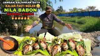 Download lagu Bikin Ngiler..! Mancing Ikan Nila Babon Liar Langsung Masak Di Tempat mp3