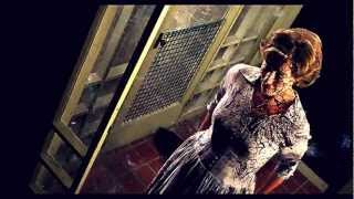 Beautiful Creatures  || &#39;&#39;wicked little things&#39;&#39;