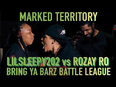 LilSleepy202 vs Rozay Ro