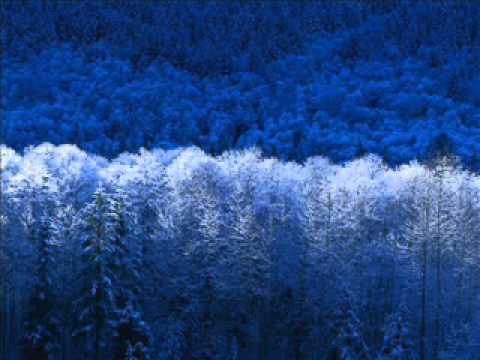 radojka matusic vesina soro