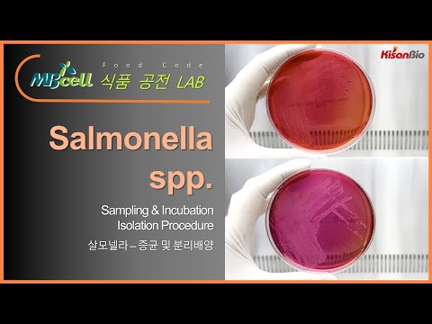 MBcell ��ǰ���� ���ڶ� ���� �� �и����(Salmonella spp.)