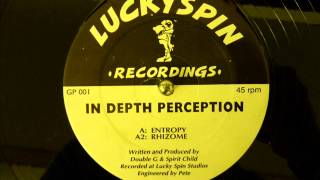 In Depth Perception - Entropy