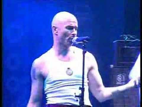 Haydamaky portugalia 2