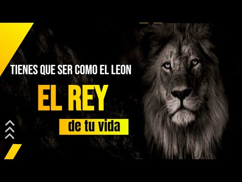 Despierta al León Interior: Conviértete en el Rey de tu Propia Vida"#motivation #emprendimiento