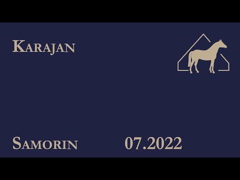 Marco Kutscher und Karajan