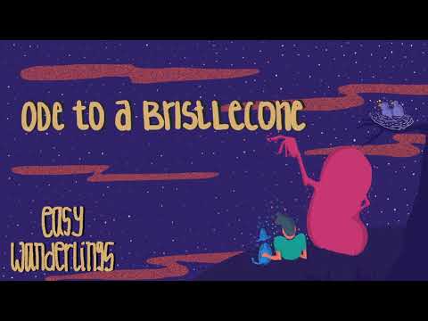 Easy Wanderlings - Ode To A Bristlecone (Radio Edit)