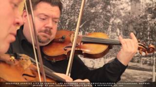 ENGEGÅRD QUARTET playing Mozart KV 590 in F major (1790). 3rd movement: Minuetto - Allegretto