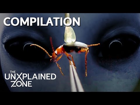 Strange Human-Alien Hybrids CAUGHT on Earth | Compilation | Ancient Aliens | The UnXplained Zone