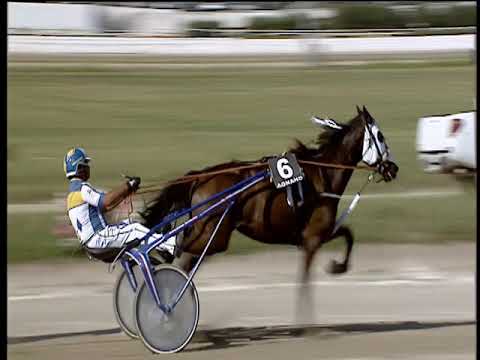 Trotto 16/09/2018 - 3ª corsa