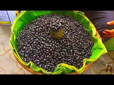 Asian Street Food, Food Compilation In Cambodian Market, Lives In Cambodian Market