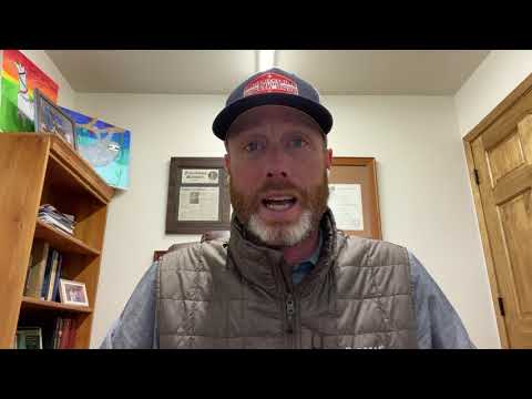 How to Get Your Horse's Coat Shiny & Healthy