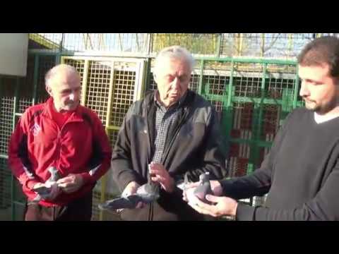 Vladimir Marković, pobednik Kupa šampiona 2016-te, GSS savez.