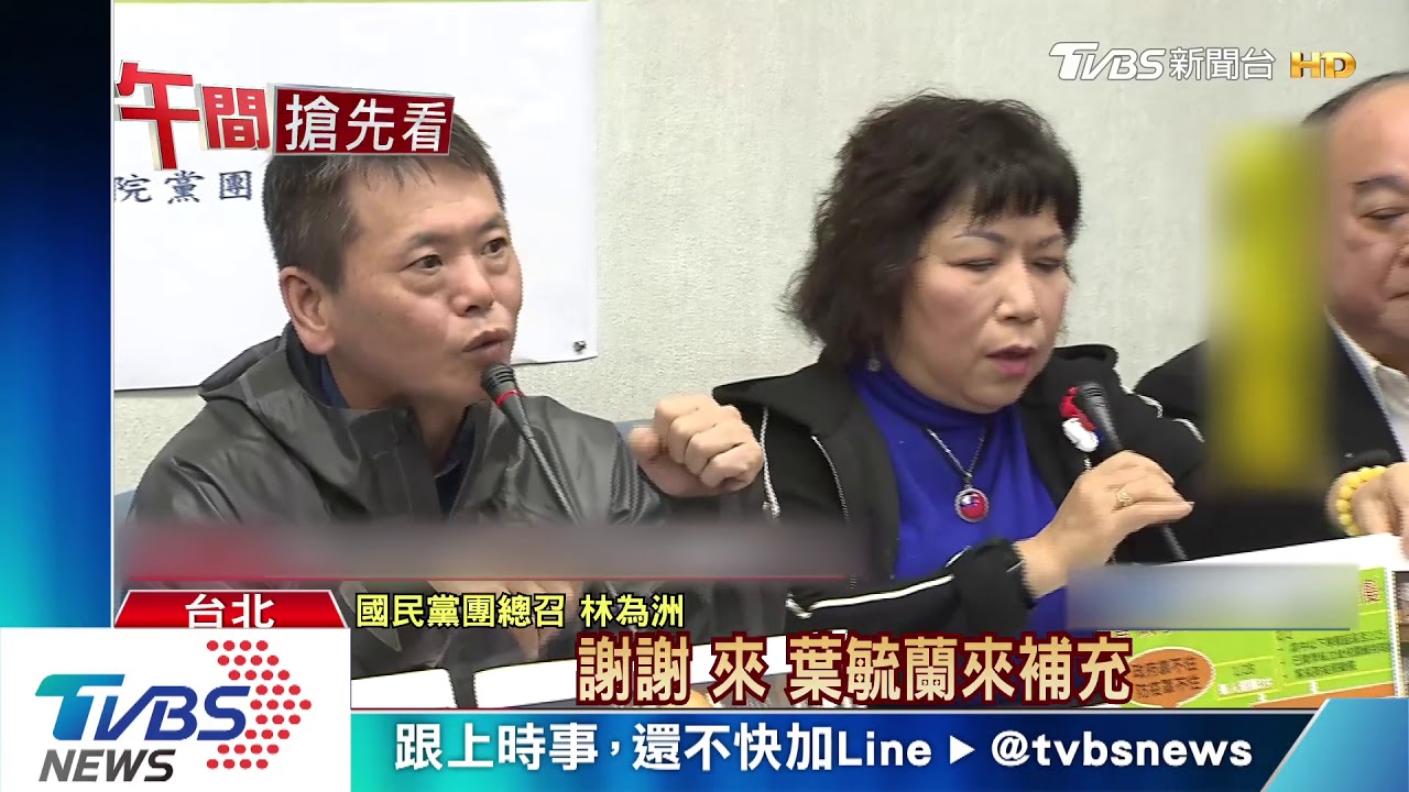 爭議不分區藍委首登場 葉毓蘭自評90分!