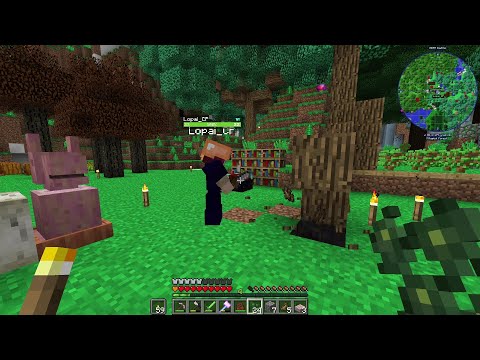 Light My Pyre/Getting into Roots | Minecraft Divine Journey 2 (ep9)