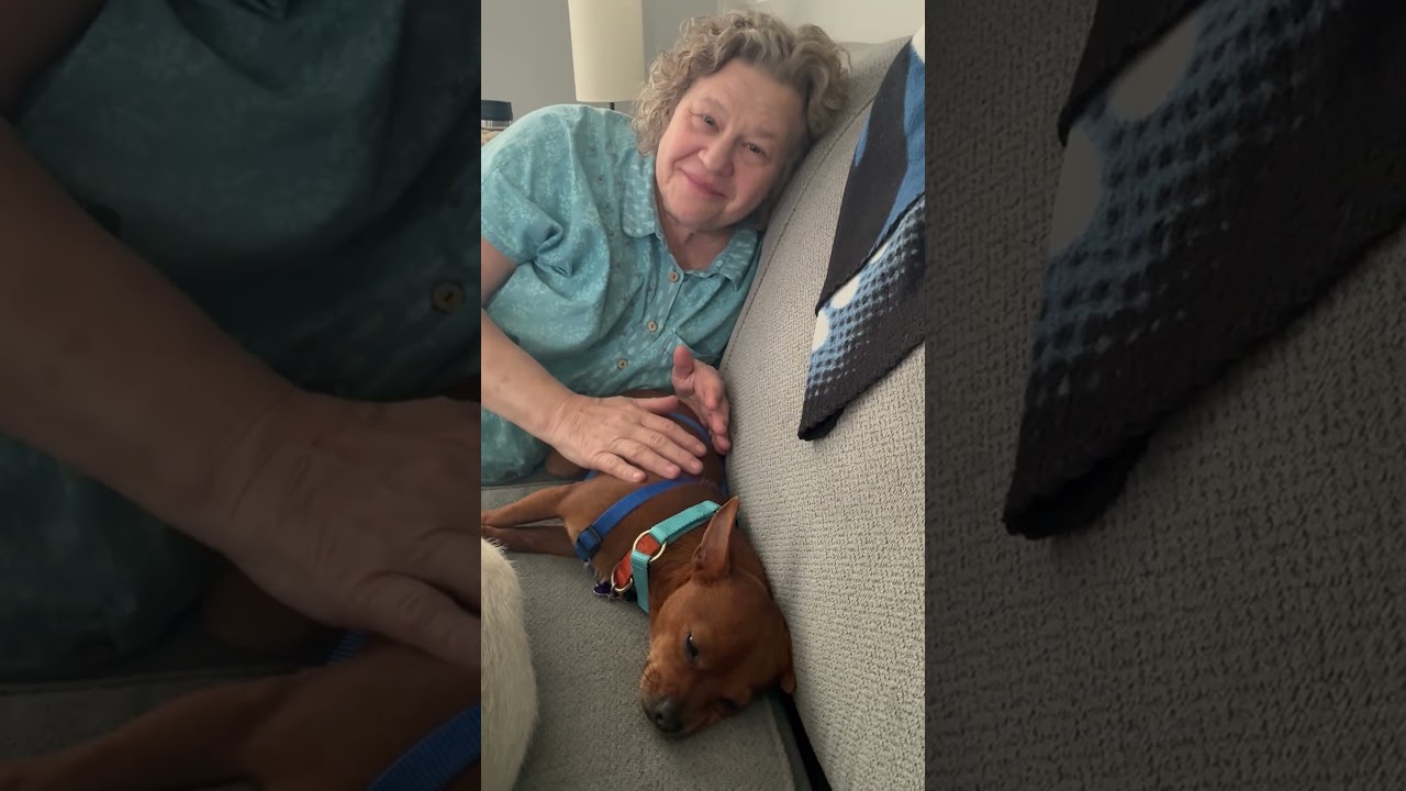 Enlarge Butterfinger, a Adoptable mixed breed in Chicago, IL video 6/6