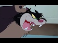 Cinderella Lucifer The Evil Cat Joke