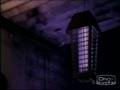 Bug Into The Light
