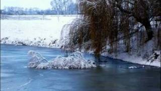 Kate Bush - Under Ice