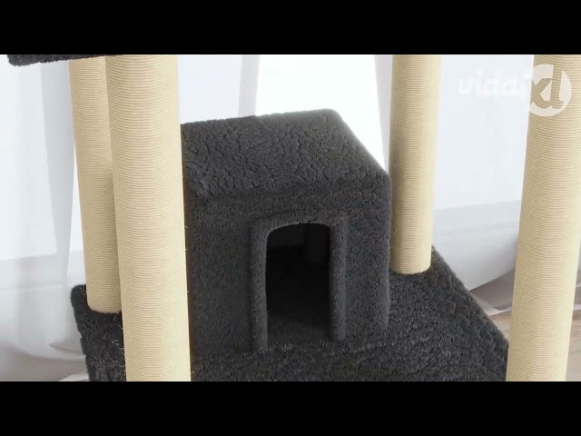 Video Teaser für 171481 1080p 29fps