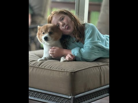 Don and Diane Shipley LIVE. November 2nd 2025 at 1800 EST Thumbnail