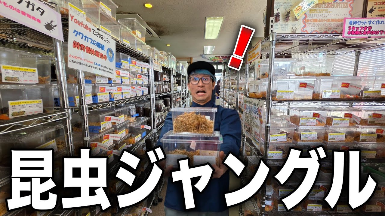 中部地方最大級の昆虫ショップに行ったらいい意味で無法地帯すぎた