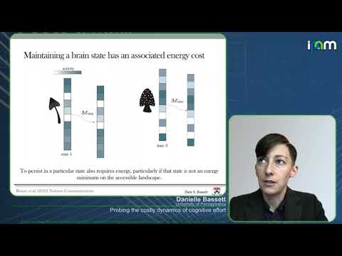 Danielle Bassett - Probing the costly dynamics of cognitive effort - IPAM at UCLA