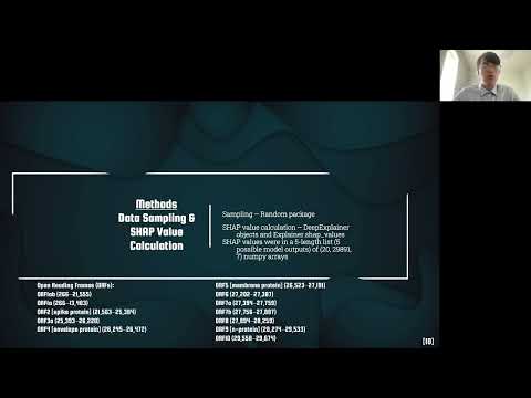 <p><span style="color: rgb(33, 33, 33);">Shaping the SARS-CoV2 classification with SHAP values</span></p>