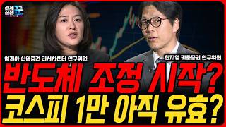 반도체 쏠림 경고, 대안은 뭐가 있을까 ㅣ 엄경아·한지영 ㅣ 경제전쟁꾼