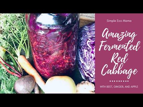 Amazing Fermented Red Cabbage Sauerkraut with Beet, Ginger, and Apple