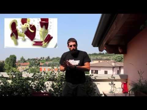 Mal di schiena e coccige questo significa Rafforzare i muscoli della ginnastica colonna vertebrale toracica