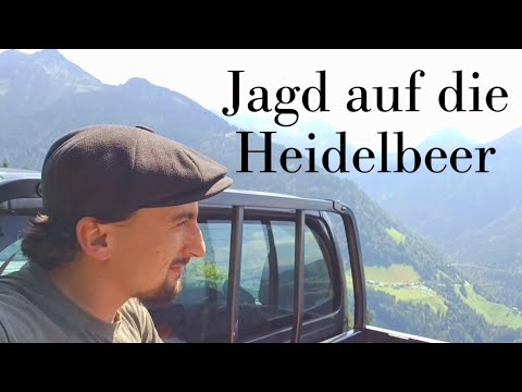 Jagd auf die Heidelbeer / mit Freunden im Almrausch😊👍🏻
