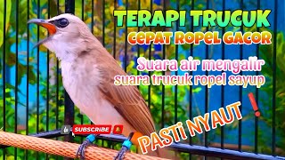 Download lagu TERAPI TRUCUKAN CEPAT GACOR SUARA AIR MENGALIR SUARA TRUCUK ROPEL SAYUP mp3
