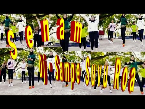 SENAM DJ SAMPE SUVU ROA DINAMIK