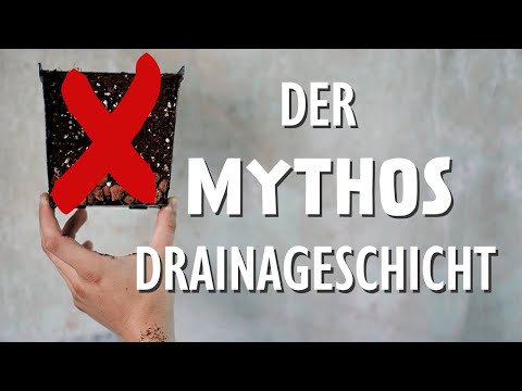 , title : 'Drainageschicht bei Pflanzen: Schädlich oder hilfreich?'