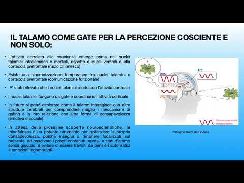 Una buona notizia… per chi desidera lavorare sulla propria consapevolezza